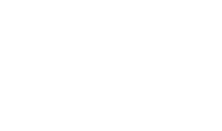 Fundación Chile